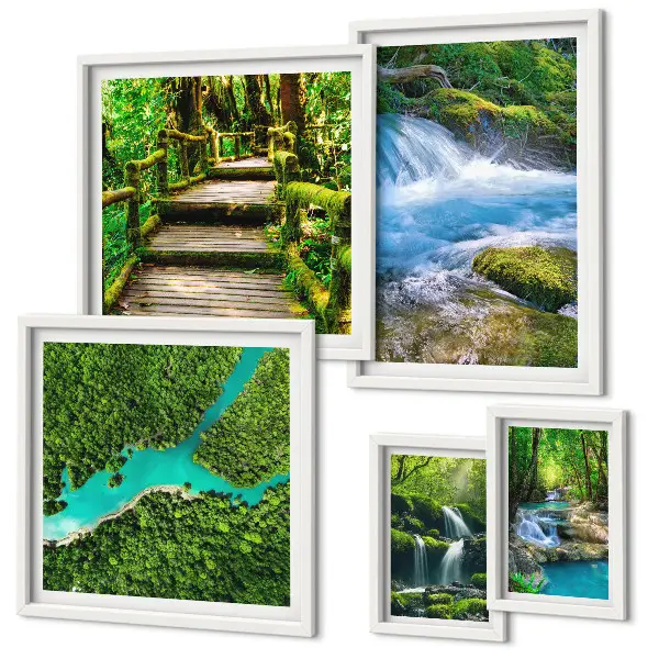 Set de 5 cuadros para salón con diseño de oasis verdes naturales en el bosque