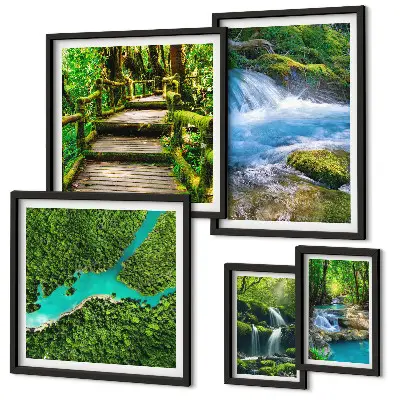 Set de 5 cuadros para salón con diseño de oasis verdes naturales en el bosque