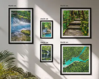 Set de 5 cuadros para salón con diseño de oasis verdes naturales en el bosque