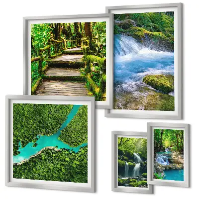 Set de 5 cuadros para salón con diseño de oasis verdes naturales en el bosque