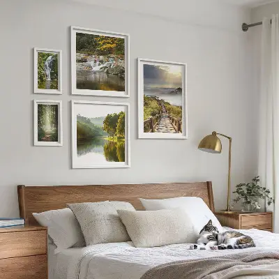 Conjunto de cuadros decorativos con paisajes naturales de cascadas y senderos forestales