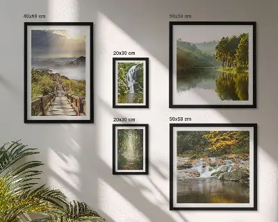 Conjunto de cuadros decorativos con paisajes naturales de cascadas y senderos forestales