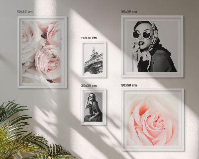 Pared galería de arte Retratos elegantes de rosas
