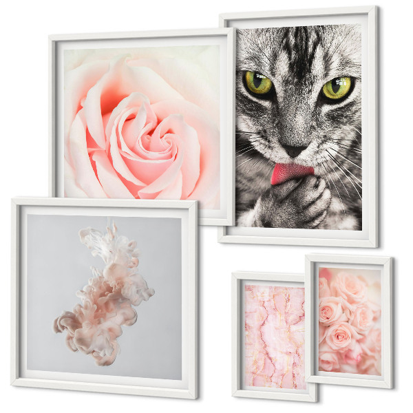 Set de 5 cuadros para salón Gatos rosas tonos delicados