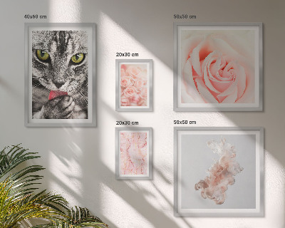 Set de 5 cuadros para salón Gatos rosas tonos delicados