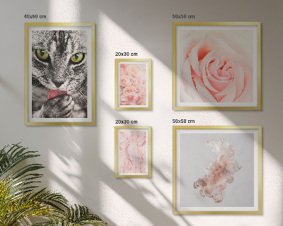 Set de 5 cuadros para salón Gatos rosas tonos delicados