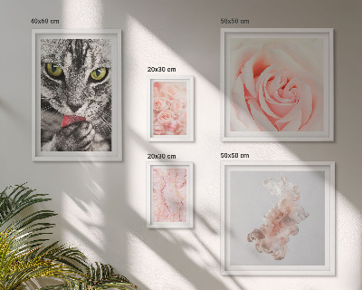 Set de 5 cuadros para salón Gatos rosas tonos delicados