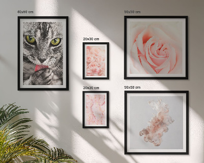 Set de 5 cuadros para salón Gatos rosas tonos delicados
