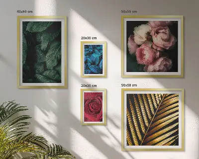 Conjunto de cuadros decorativos con motivos florales y vegetales