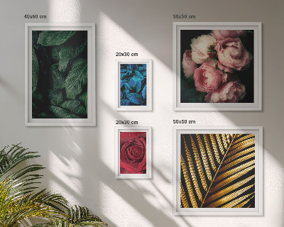 Conjunto de cuadros decorativos motivos florales vegetales