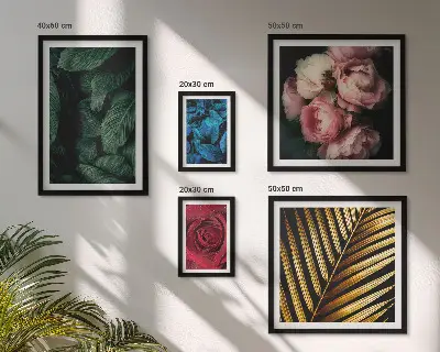 Conjunto de cuadros decorativos con motivos florales y vegetales