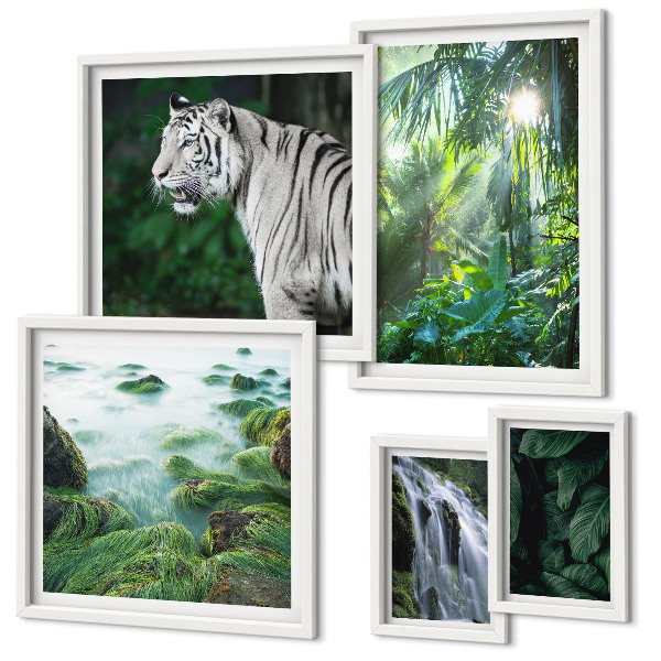 Set de 5 cuadros para salón Animales de la naturaleza tropical
