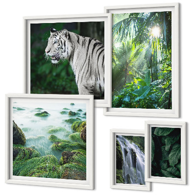Set de 5 cuadros para salón Animales de la naturaleza tropical