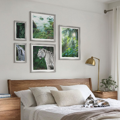 Set de 5 cuadros para salón Animales de la naturaleza tropical