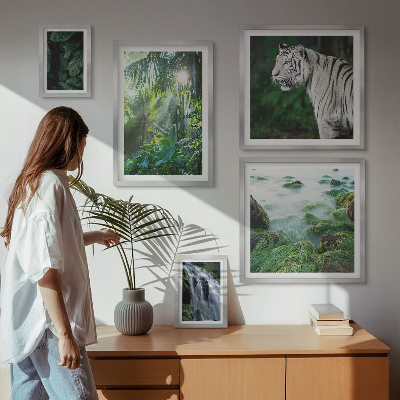 Set de 5 cuadros para salón Animales de la naturaleza tropical