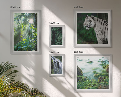 Set de 5 cuadros para salón Animales de la naturaleza tropical