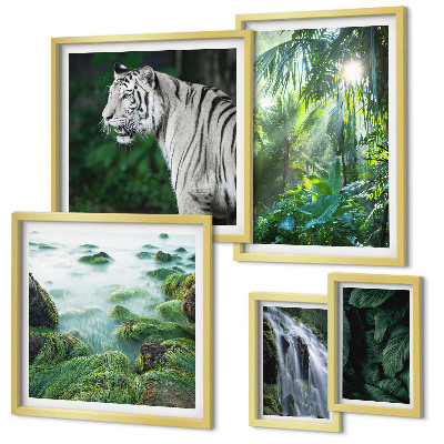 Set de 5 cuadros para salón Animales de la naturaleza tropical