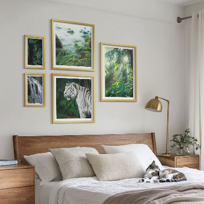 Set de 5 cuadros para salón Animales de la naturaleza tropical