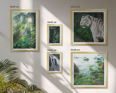 Set de 5 cuadros para salón Animales de la naturaleza tropical