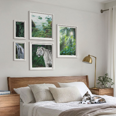Set de 5 cuadros para salón Animales de la naturaleza tropical