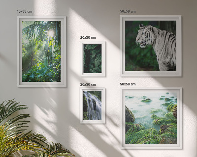 Set de 5 cuadros para salón Animales de la naturaleza tropical