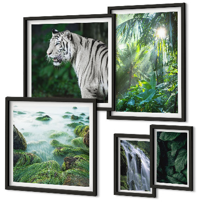 Set de 5 cuadros para salón Animales de la naturaleza tropical