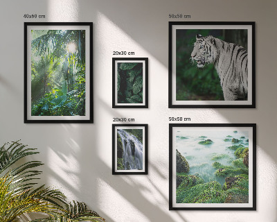 Set de 5 cuadros para salón Animales de la naturaleza tropical