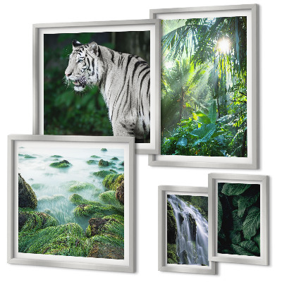 Set de 5 cuadros para salón Animales de la naturaleza tropical