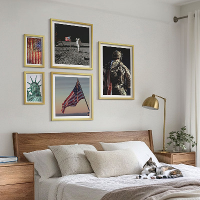 Conjunto de cuadros decorativos Simbolismo estadounidense de la historia