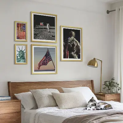 Conjunto de cuadros decorativos temática de simbolismo estadounidense de la historia