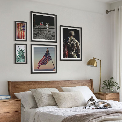 Conjunto de cuadros decorativos Simbolismo estadounidense de la historia