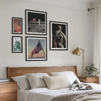 Conjunto de cuadros decorativos temática de simbolismo estadounidense de la historia