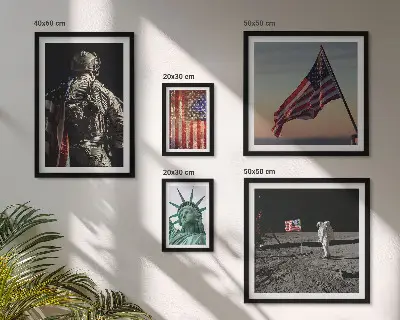 Conjunto de cuadros decorativos temática de simbolismo estadounidense de la historia