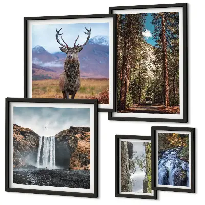 Conjunto de cuadros decorativos con paisajes de cascadas y naturaleza