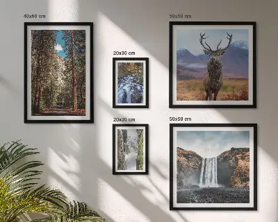 Conjunto de cuadros decorativos con paisajes de cascadas y naturaleza