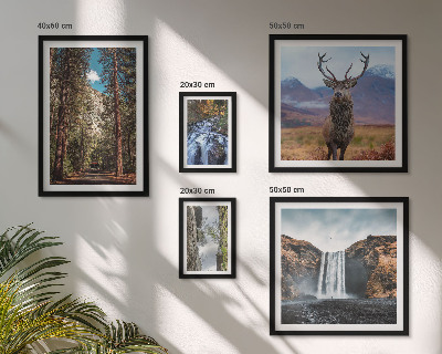 Conjunto de cuadros decorativos Paisajes, cascadas, naturaleza