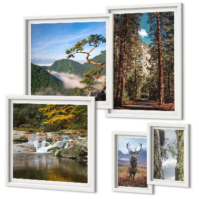 Set de 5 cuadros para salón Paisajes de montaña y naturaleza salvaje