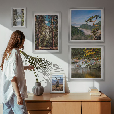 Set de 5 cuadros para salón Paisajes de montaña y naturaleza salvaje