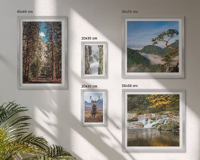 Set de 5 cuadros para salón Paisajes de montaña y naturaleza salvaje