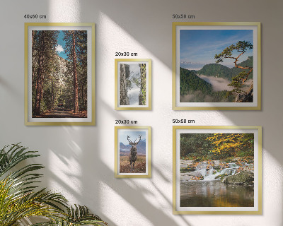 Set de 5 cuadros para salón Paisajes de montaña y naturaleza salvaje