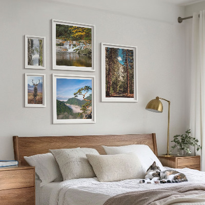 Set de 5 cuadros para salón Paisajes de montaña y naturaleza salvaje