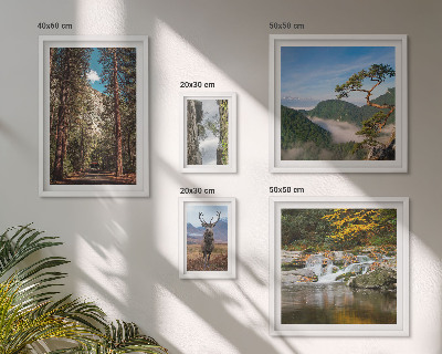Set de 5 cuadros para salón Paisajes de montaña y naturaleza salvaje