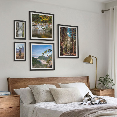 Set de 5 cuadros para salón Paisajes de montaña y naturaleza salvaje