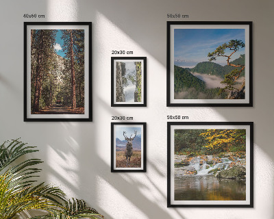 Set de 5 cuadros para salón Paisajes de montaña y naturaleza salvaje