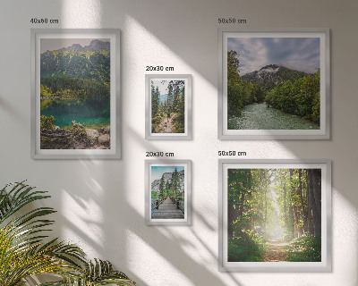 Pared galería de arte Paisajes de montaña y senderos forestales