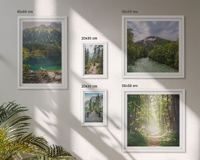 Pared galería de arte Paisajes de montaña y senderos forestales