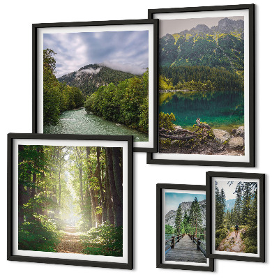 Pared galería de arte Paisajes de montaña y senderos forestales