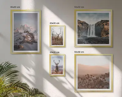 Set de 5 cuadros para salón con paisajes de montaña y animales salvajes
