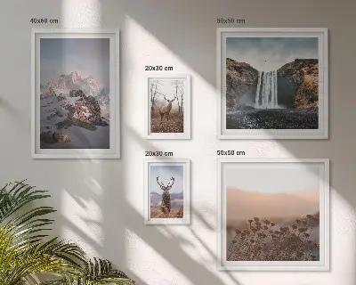 Set de 5 cuadros para salón con paisajes de montaña y animales salvajes