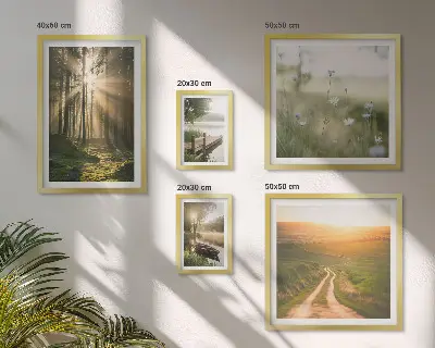 Set de 5 cuadros para salón con paisajes de bosques sol y agua